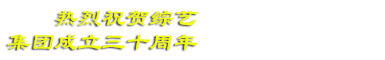 综艺集团
